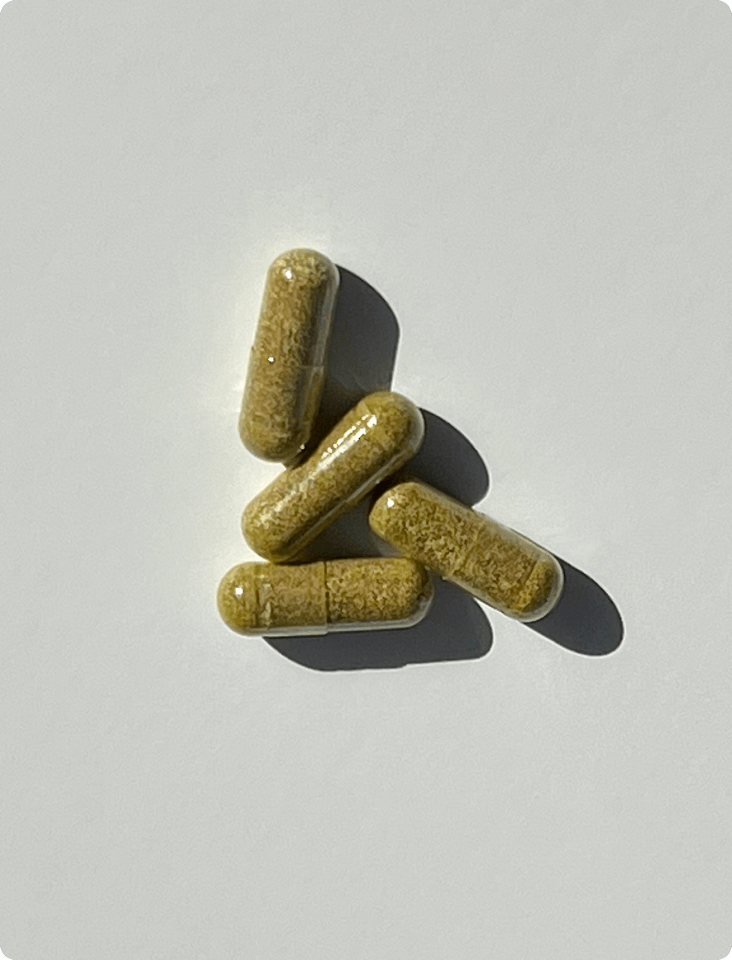 Women's Vegan 3 Month Supplement